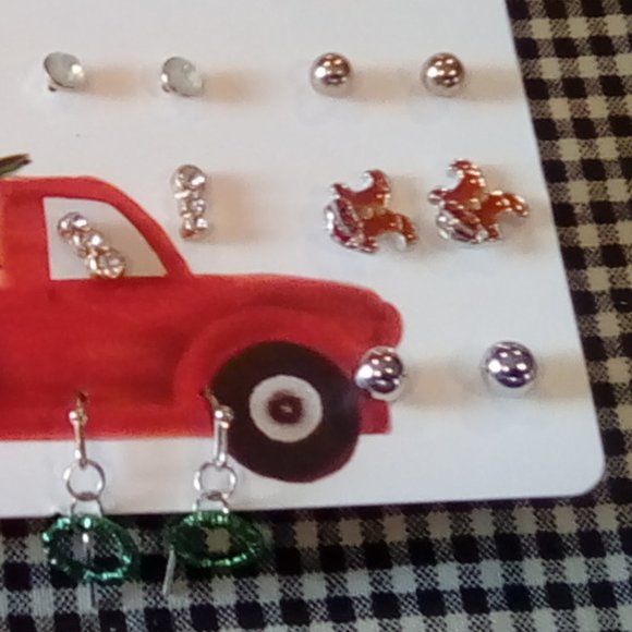 20-Piece Christmas Earring Set - Picture 3 of 4